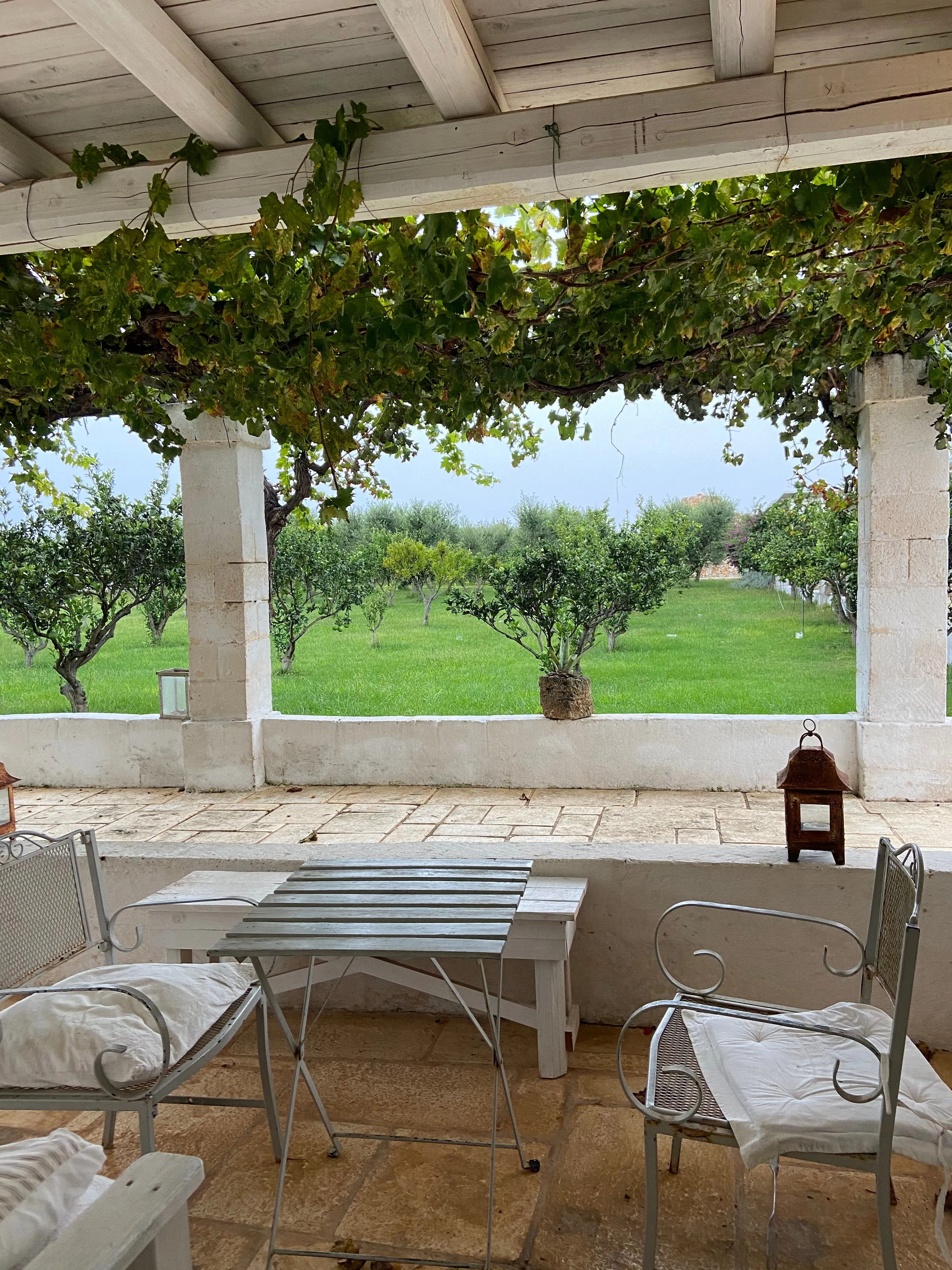 7-Days Fall Foliage Yoga Retreat Oct 6-12 at Masseria Potenti, Puglia