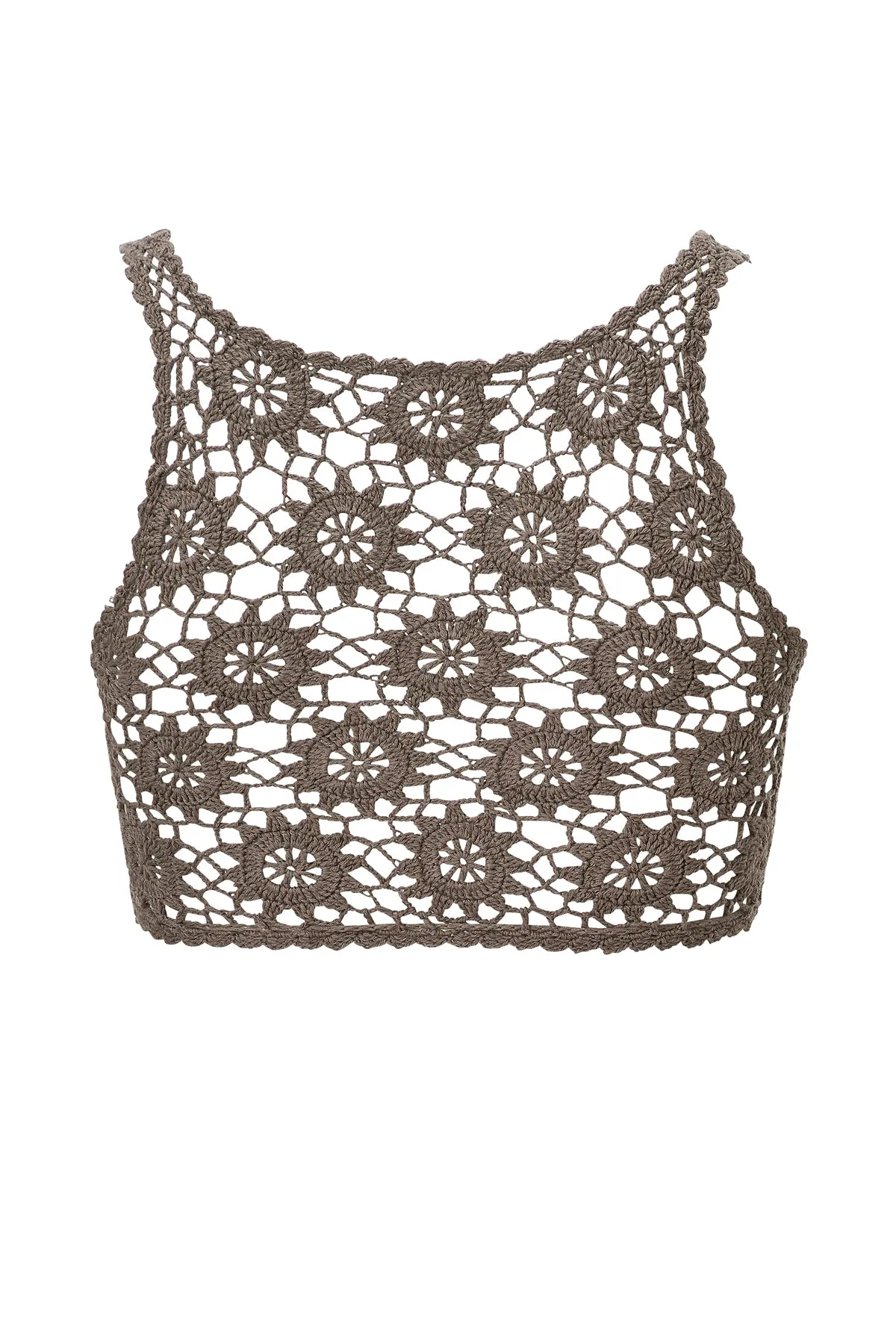 Dreamweaver Top