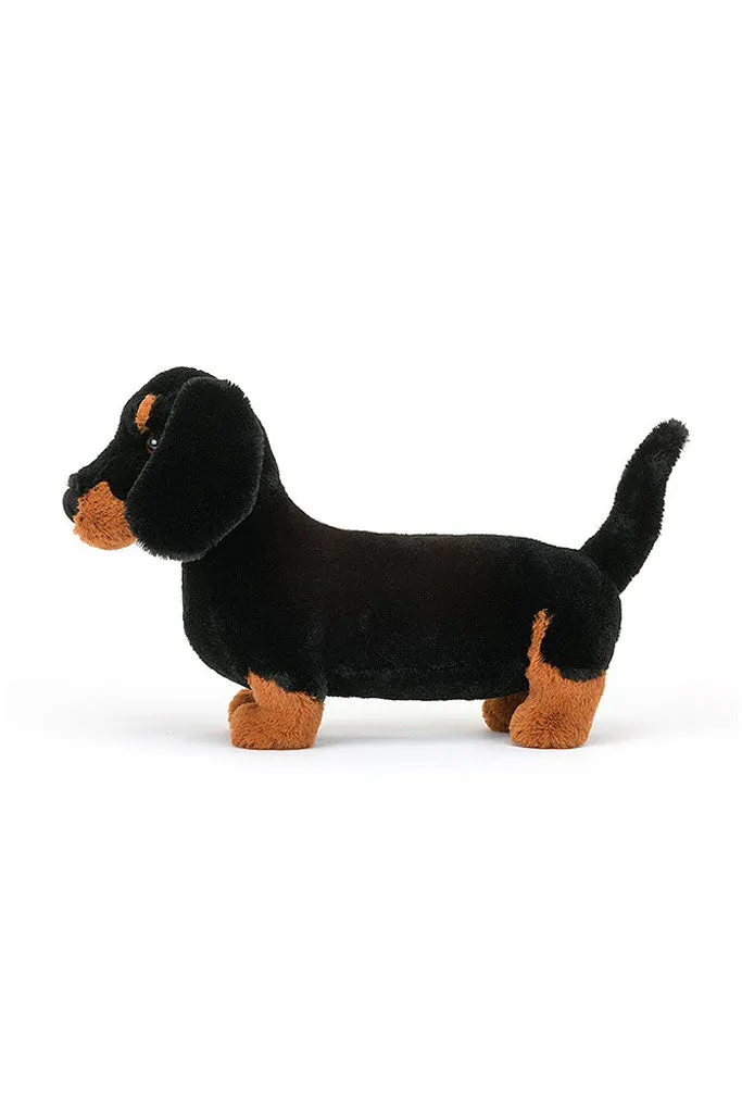 Freddie Sausage Dog - Adorable Dog with a Unique Name and Personality.