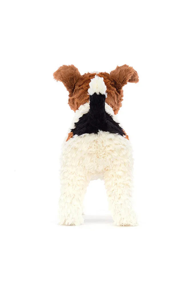 Hector Fox Terrier breed