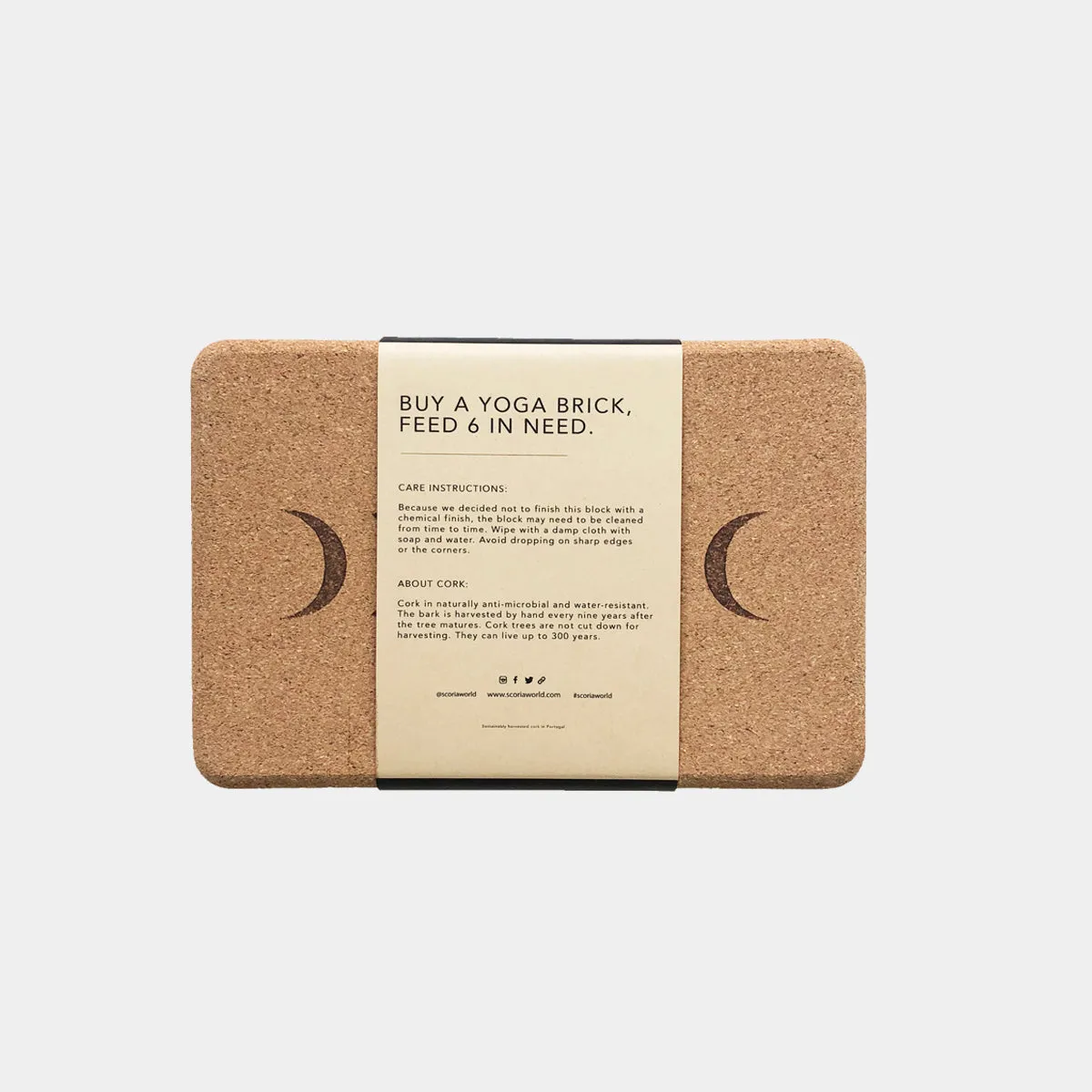 Pair of Moon Cork Yoga Blocks