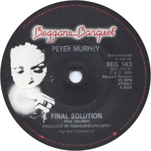 Peter Murphy ~ Final Solution lyrics