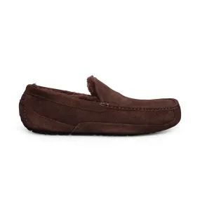 UGG Ascot Men's Slippers - Dusted Cocoa