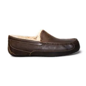 UGG Ascot Tan Men's Slippers